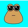 Pou
